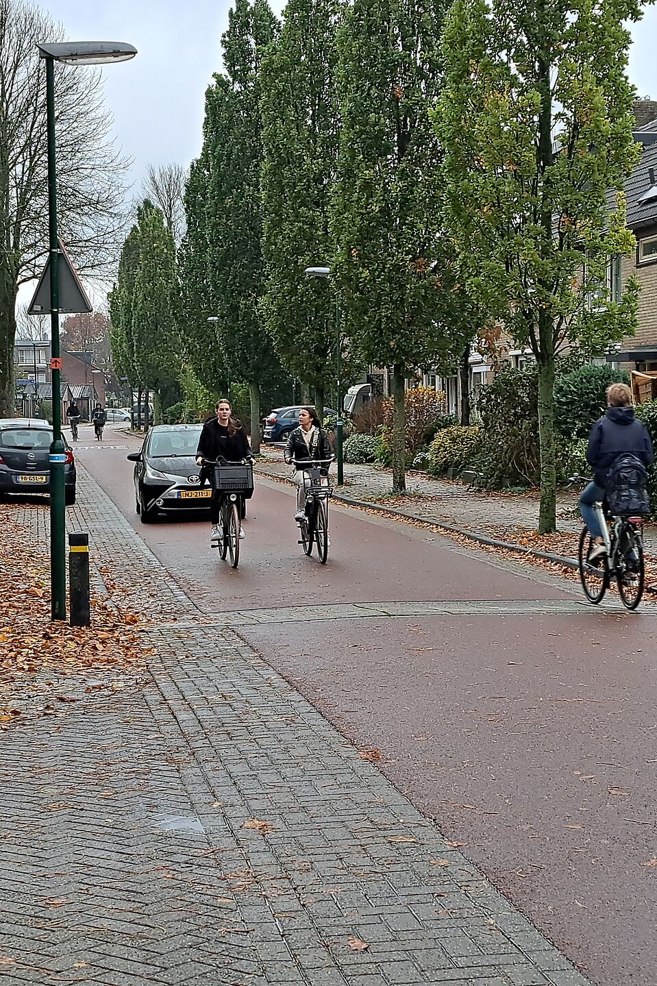 Fahrradstraße Houten